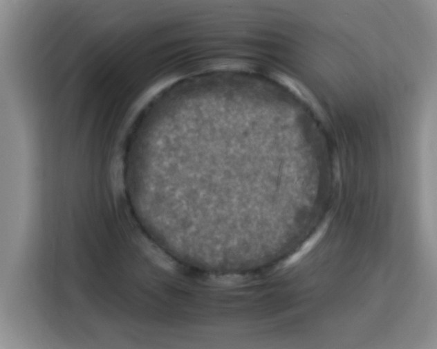 X0000113291019200910051056