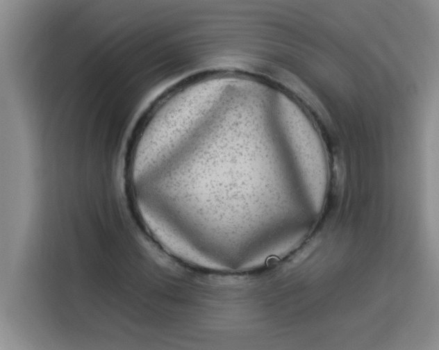 X0000113291020200910051056