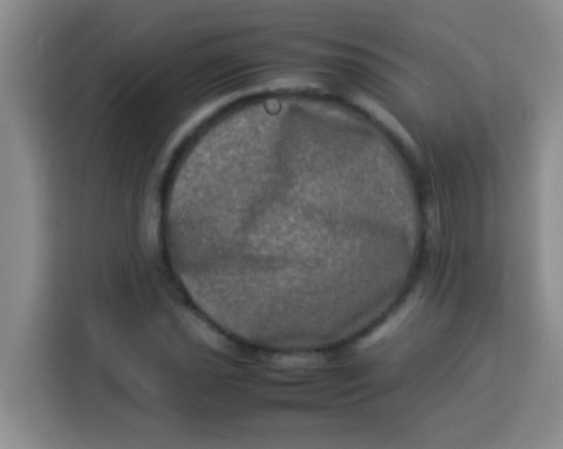 X0000113291021200910051056