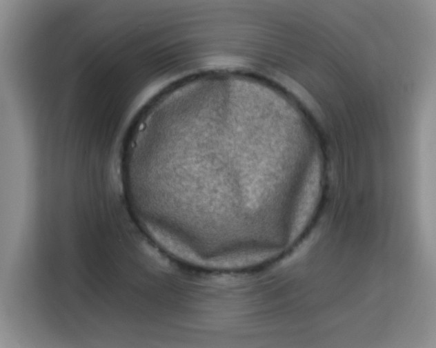 X0000113291022200910051056