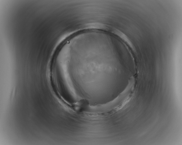 X0000113291024200910051056