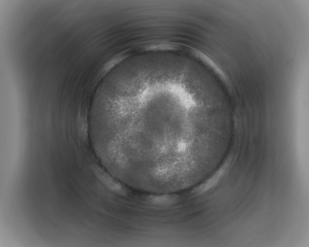 X0000113291025200910051056