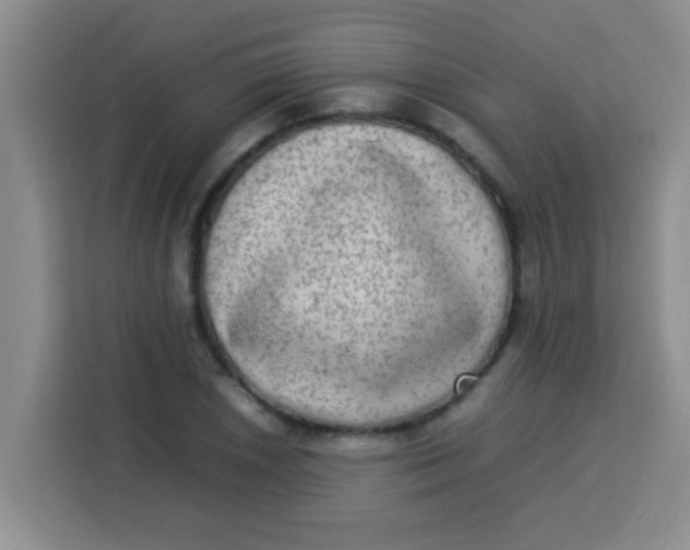 X0000113291026200910051056