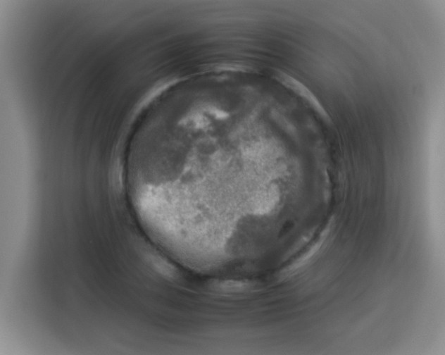 X0000113291027200910051056