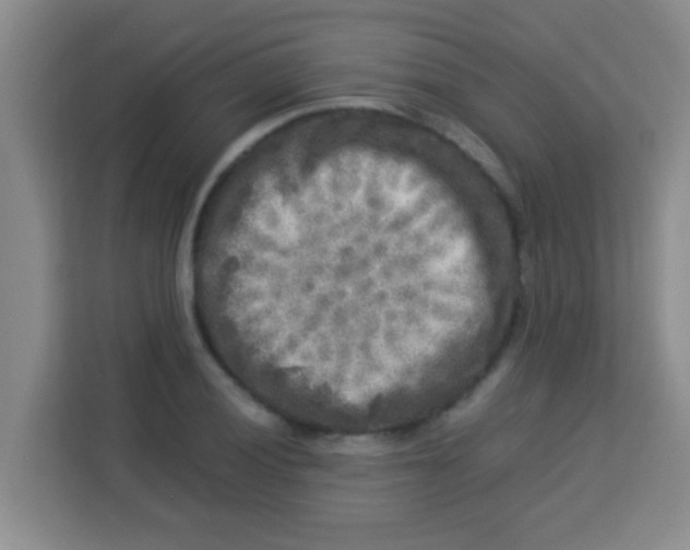 X0000113291028200910051056