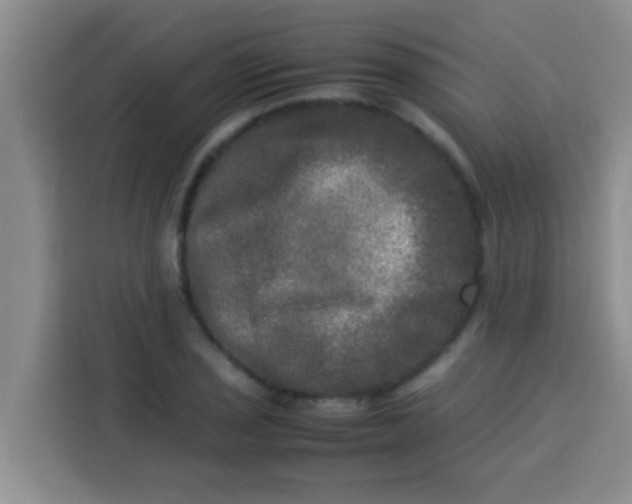 X0000113291029200910051056