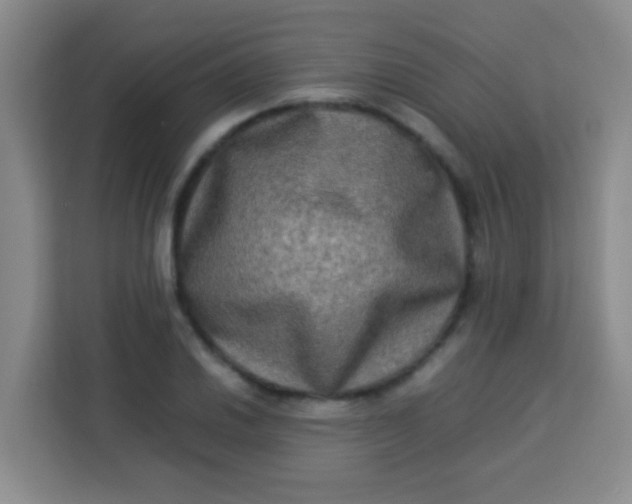 X0000113291030200910051056