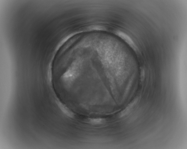 X0000113291031200910051056