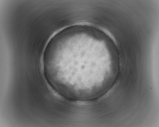 X0000113291032200910051056