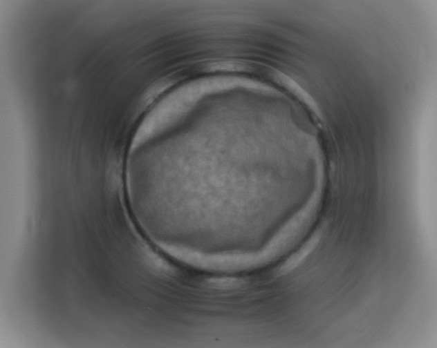 X0000113291033200910051056