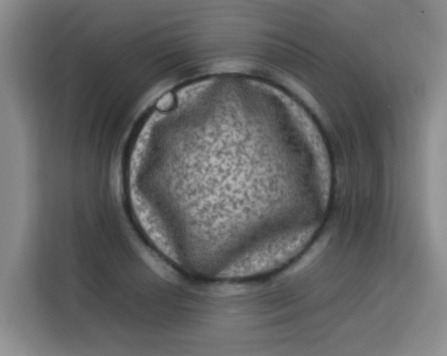 X0000113291034200910051056