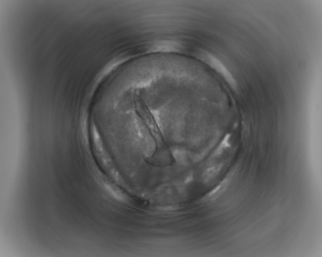 X0000113291035200910051056