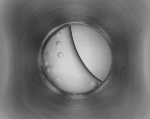 X0000113291036200910051056