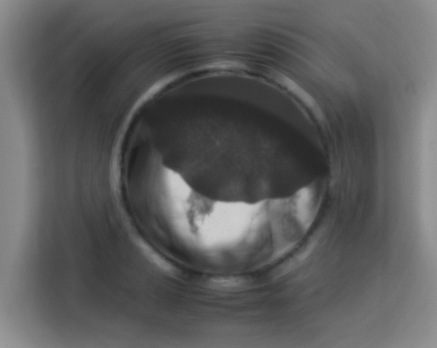 X0000113291037200910051056