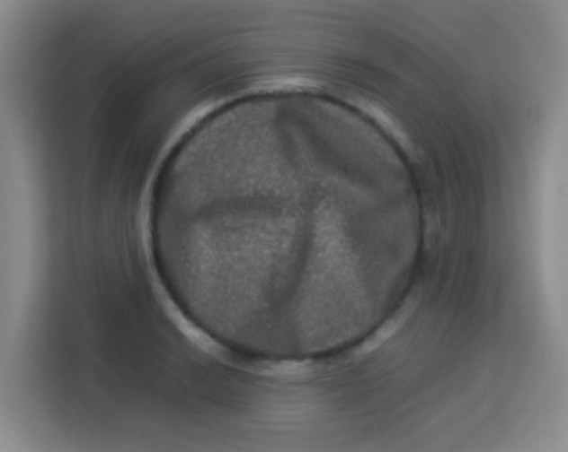 X0000113291038200910051056