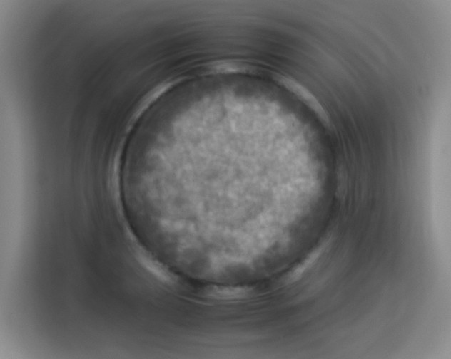 X0000113291039200910051056