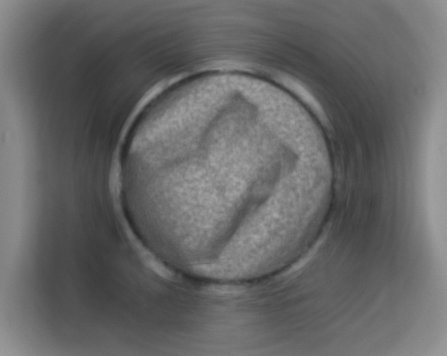 X0000113291040200910051056