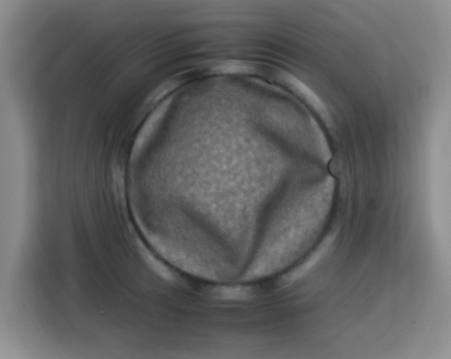 X0000113291041200910051056