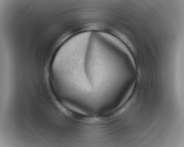 X0000113291042200910051056