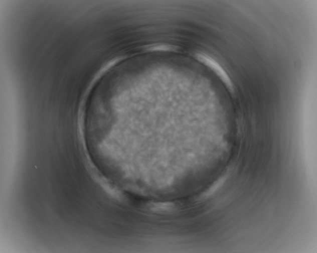 X0000113291043200910051056