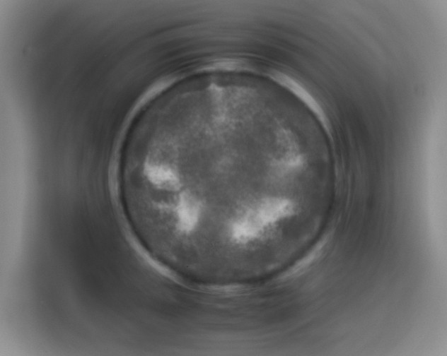 X0000113291045200910051056