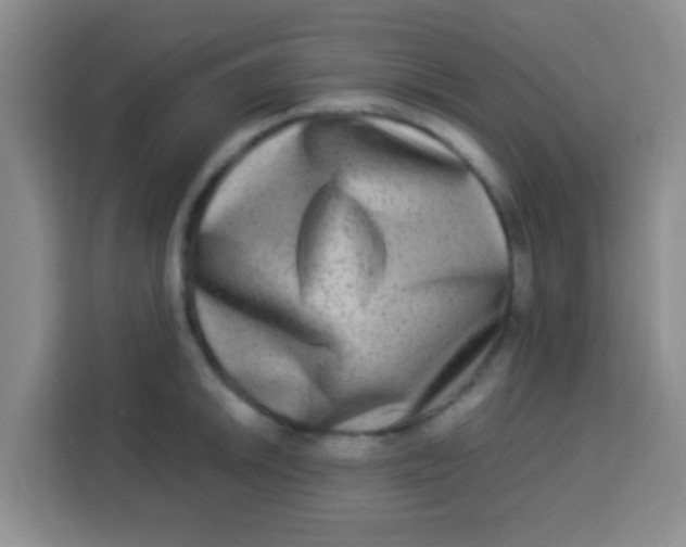 X0000113291046200910051056