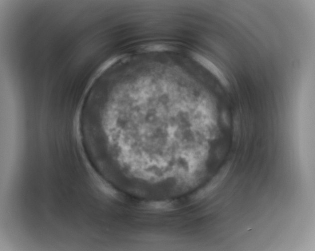 X0000113291047200910051056