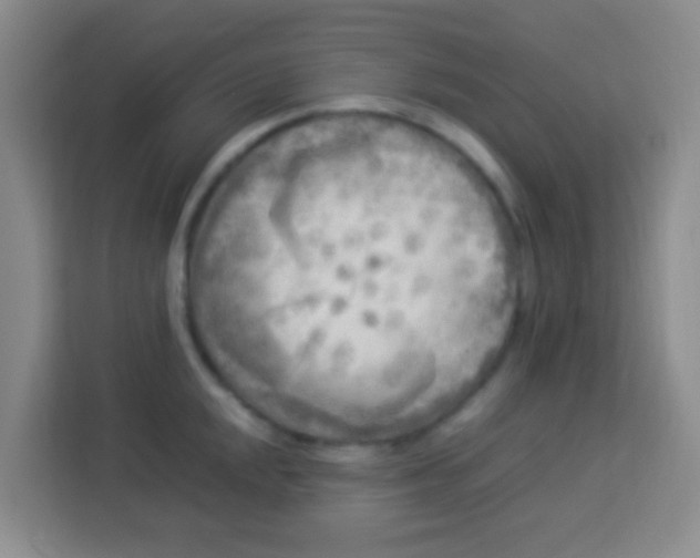 X0000113291048200910051056