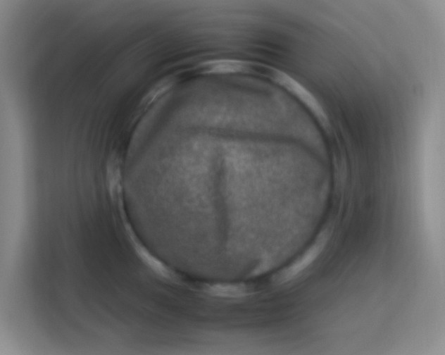 X0000113291049200910051056