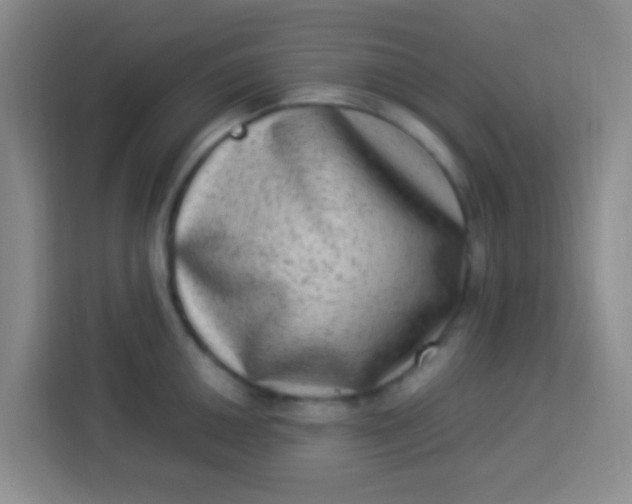 X0000113291050200910051057