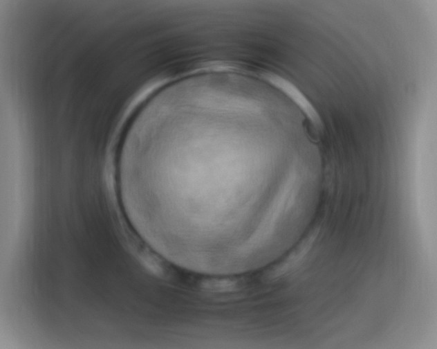 X0000113291051200910051057