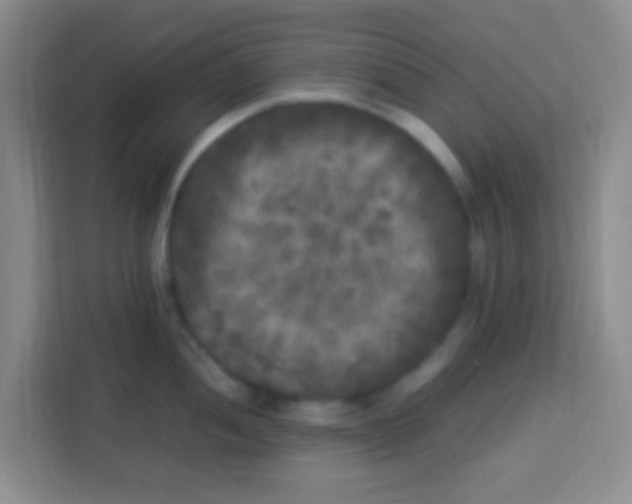 X0000113291052200910051057