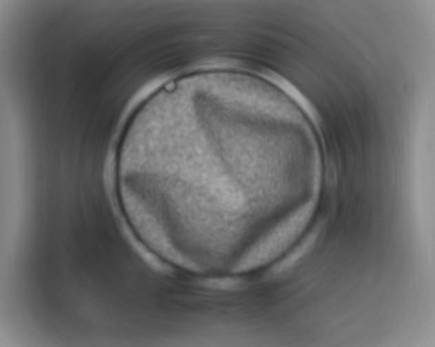 X0000113291053200910051057