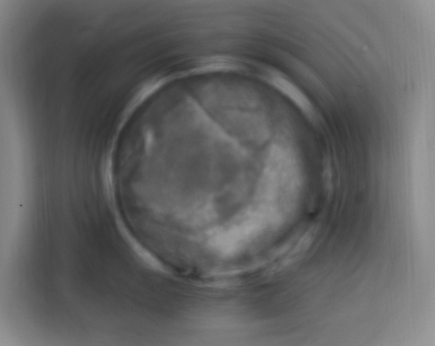 X0000113291055200910051057