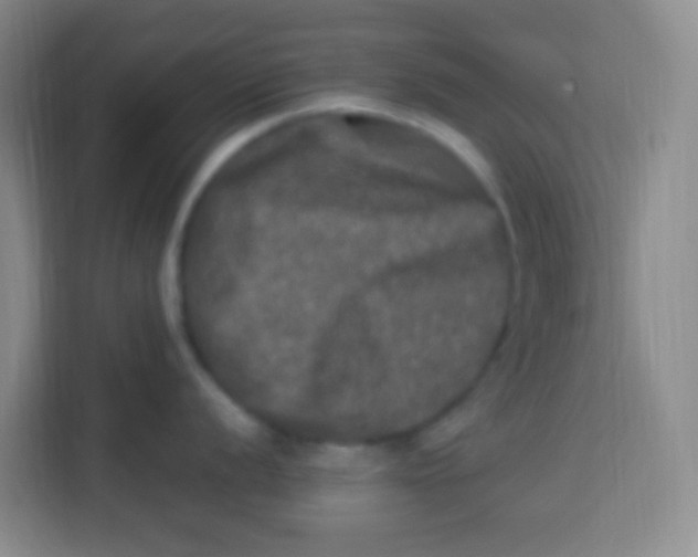 X0000113291056200910051057