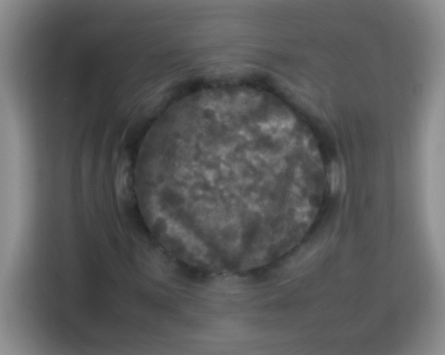 X0000113291059200910051056