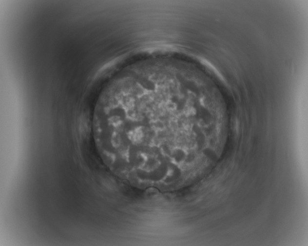 X0000113291063200910051056