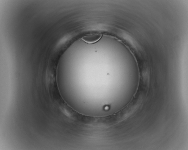 X0000113291064200910051056