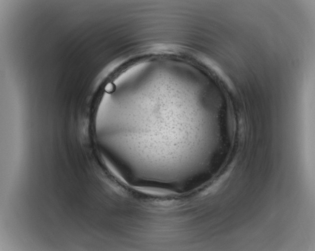 X0000113291066200910051056