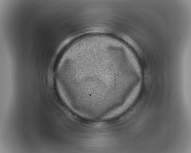 X0000113291067200910051056