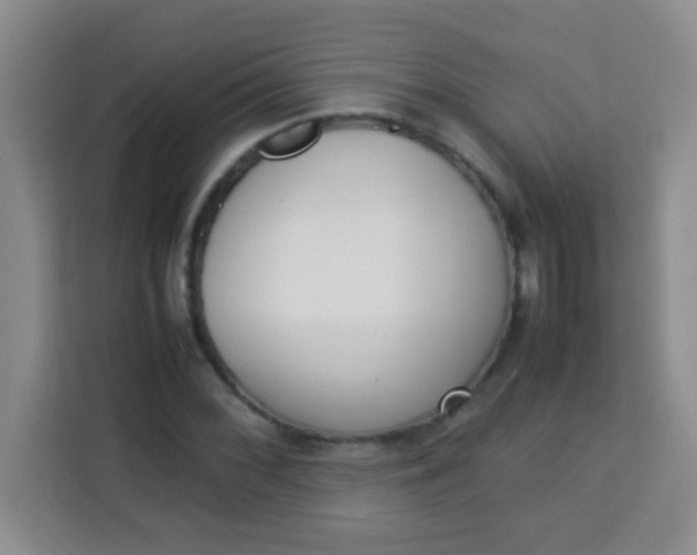 X0000113291068200910051056