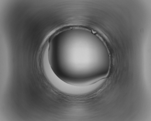 X0000113291069200910051056