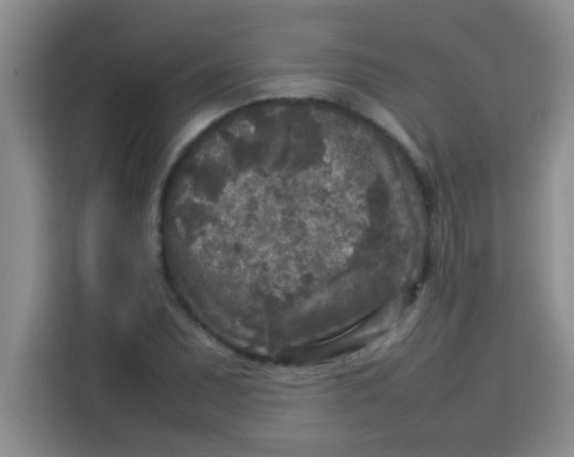 X0000113291071200910051056