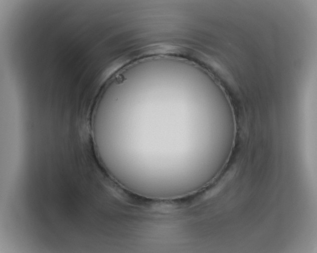 X0000113291073200910051056