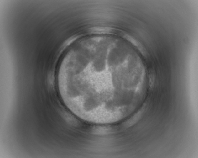 X0000113291074200910051056