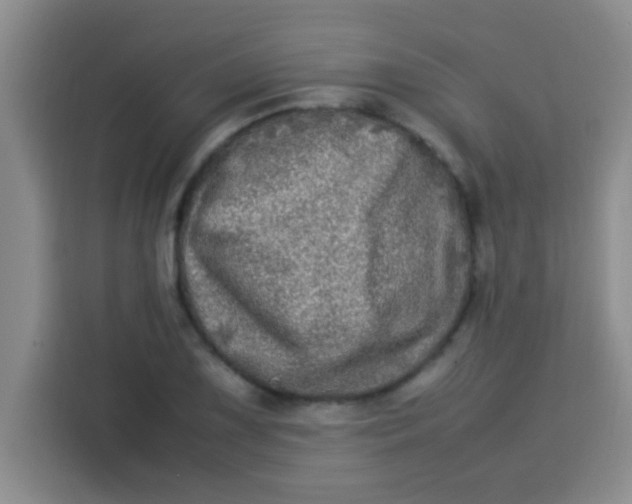 X0000113291075200910051056