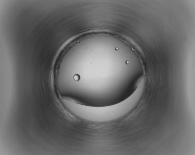 X0000113291076200910051056