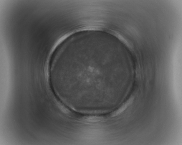 X0000113291077200910051056