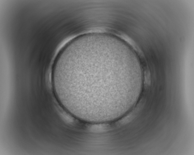 X0000113291078200910051056