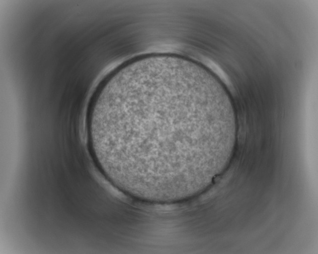 X0000113291080200910051056